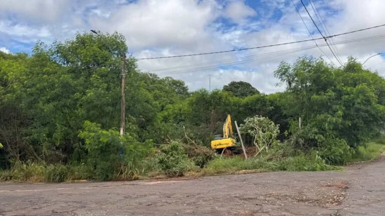 Prefeitura esclarece questionamentos sobre corte de vegetação em terreno no Distrito Industrial de Adamantina