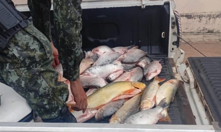 Dupla é multada por pesca irregular durante piracema no Rio Aguapeí, em Lucélia