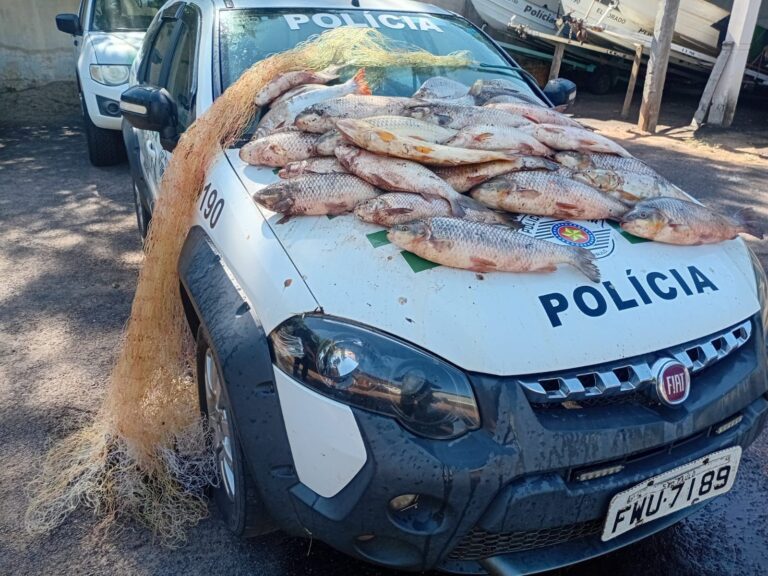 Pesca ilegal termina com apreensão de mais de 60 quilos de peixes no Rio Aguapeí, em Lucélia