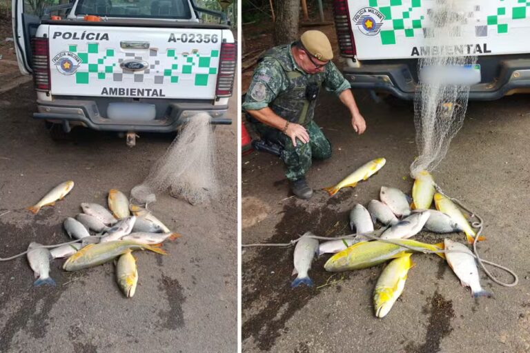 Homem é multado em R$ 1,4 mil por pesca irregular no Rio Aguapéi, em Lucélia