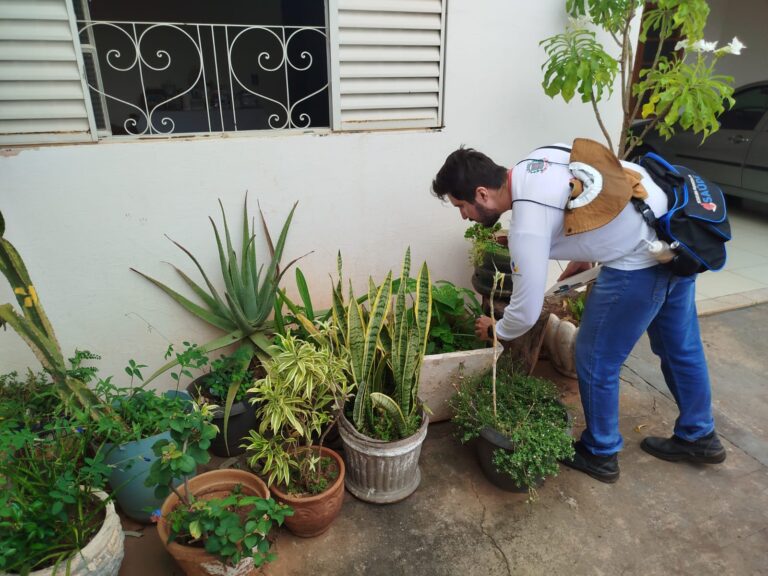 Chuvas previstas para a semana acendem alerta para prevenção à dengue em Adamantina