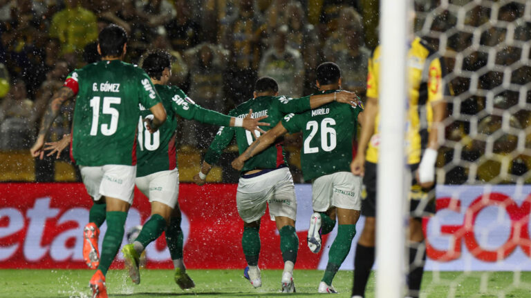 Palmeiras vence Novorizontino por 2 a 1 e conquista o 27º título do Campeonato Paulista