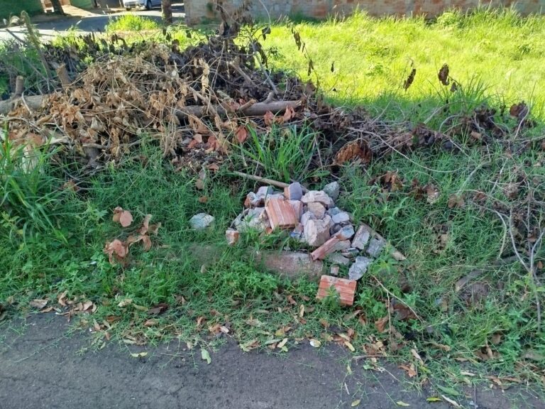 Adamantina notifica mais de 980 proprietários por falta de limpeza em terrenos