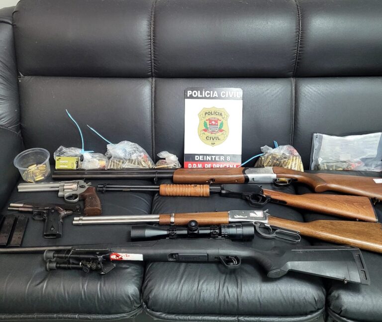 Dracena: Polícia Civil apreende seis armas na casa de investigado por violência doméstica
