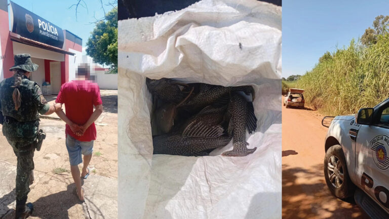 Pesca irregular resulta em multas e prisão de foragido em Adamantina