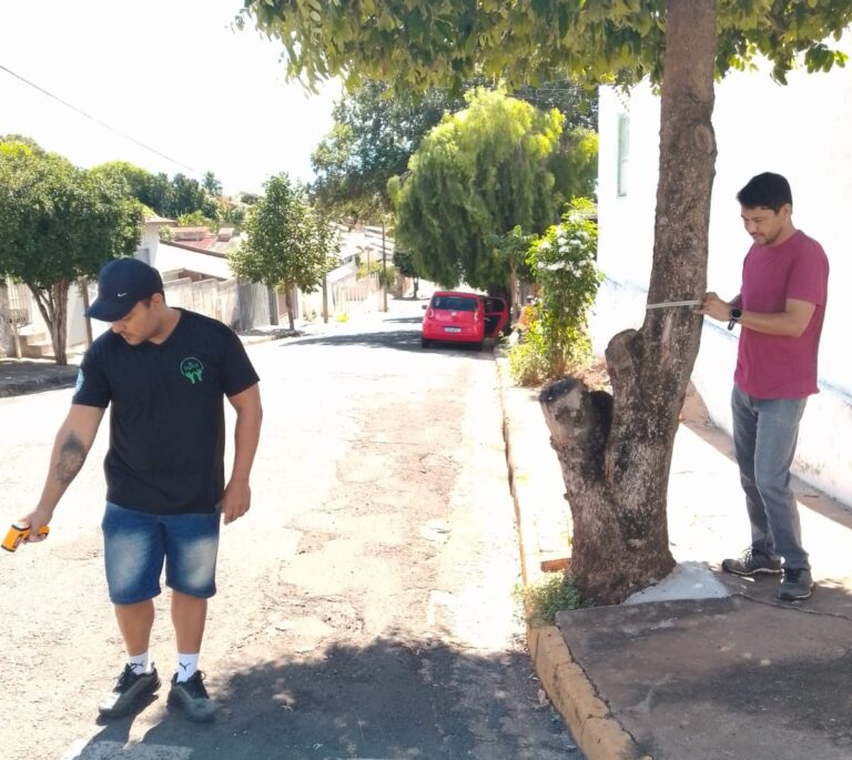 Podas leves reduzem temperatura urbana em até 20°C em Adamantina e Tupã