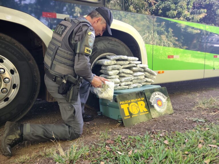 Passageiro é preso com mais de 15 kg de droga colombiana em ônibus na SP-294, em Pacaembu