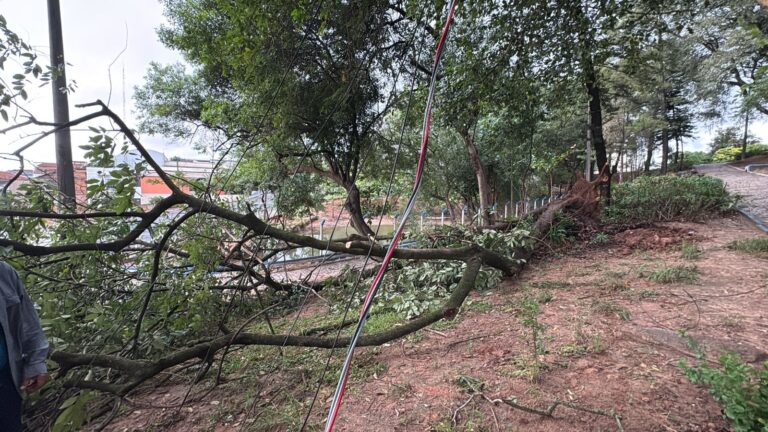 Temporal atinge ao menos 60 pontos em Adamantina; três residências são destelhadas