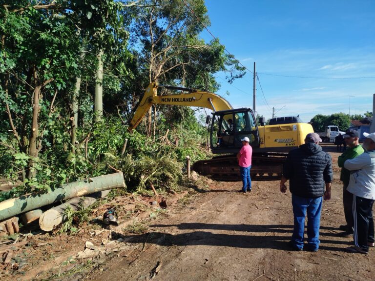 Prefeitura inicia supressão preventiva de árvores na Estância Dorigo, em Adamantina